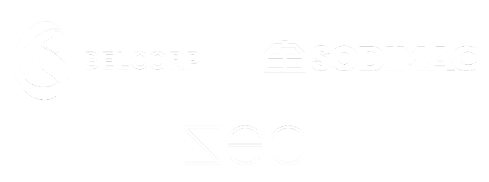 Logo Demo